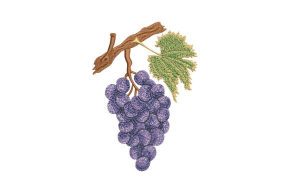Grape Branch with Leaf