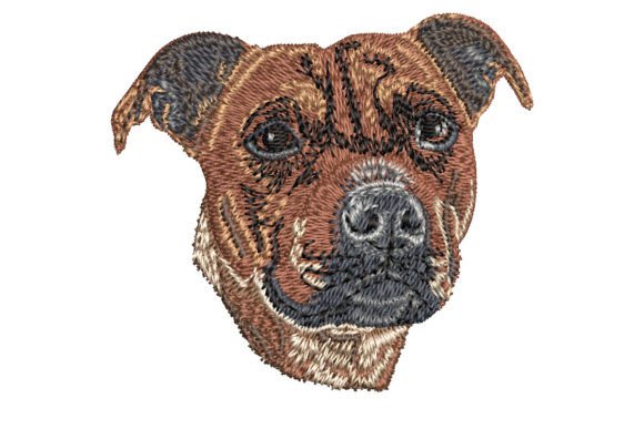 Staffordshire Bull Terrier